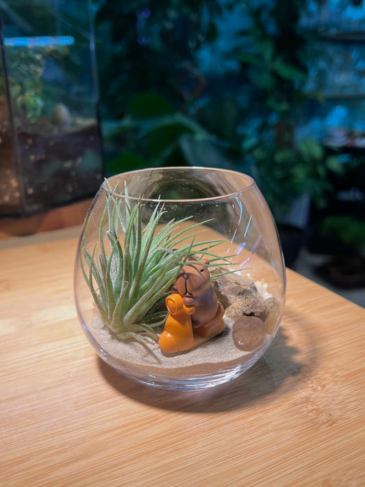 Airplant in Wine Glass with Capybara Figurine
