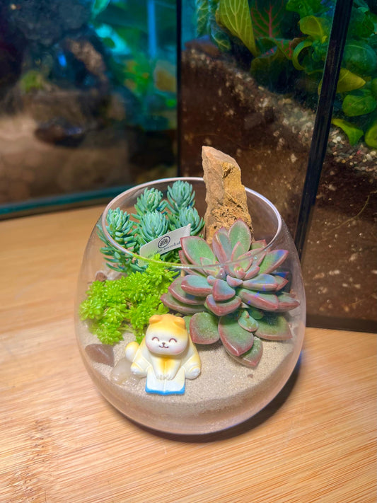 Succulent Arrangement in Wine Glass