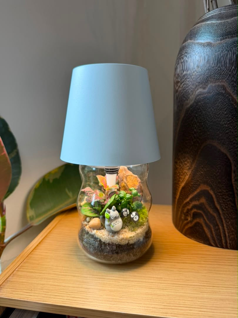 LES Table Lamp with Indoor Plant Terrarium in Hour Glass