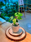 Monstera Adansonii (Indoor Plant) in Ceramic Pot