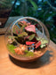 Round Glass Indoor Plant Terrarium (M) DIY Kit