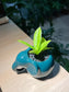 ZZ Plant (金钱树) in Elephant Pot