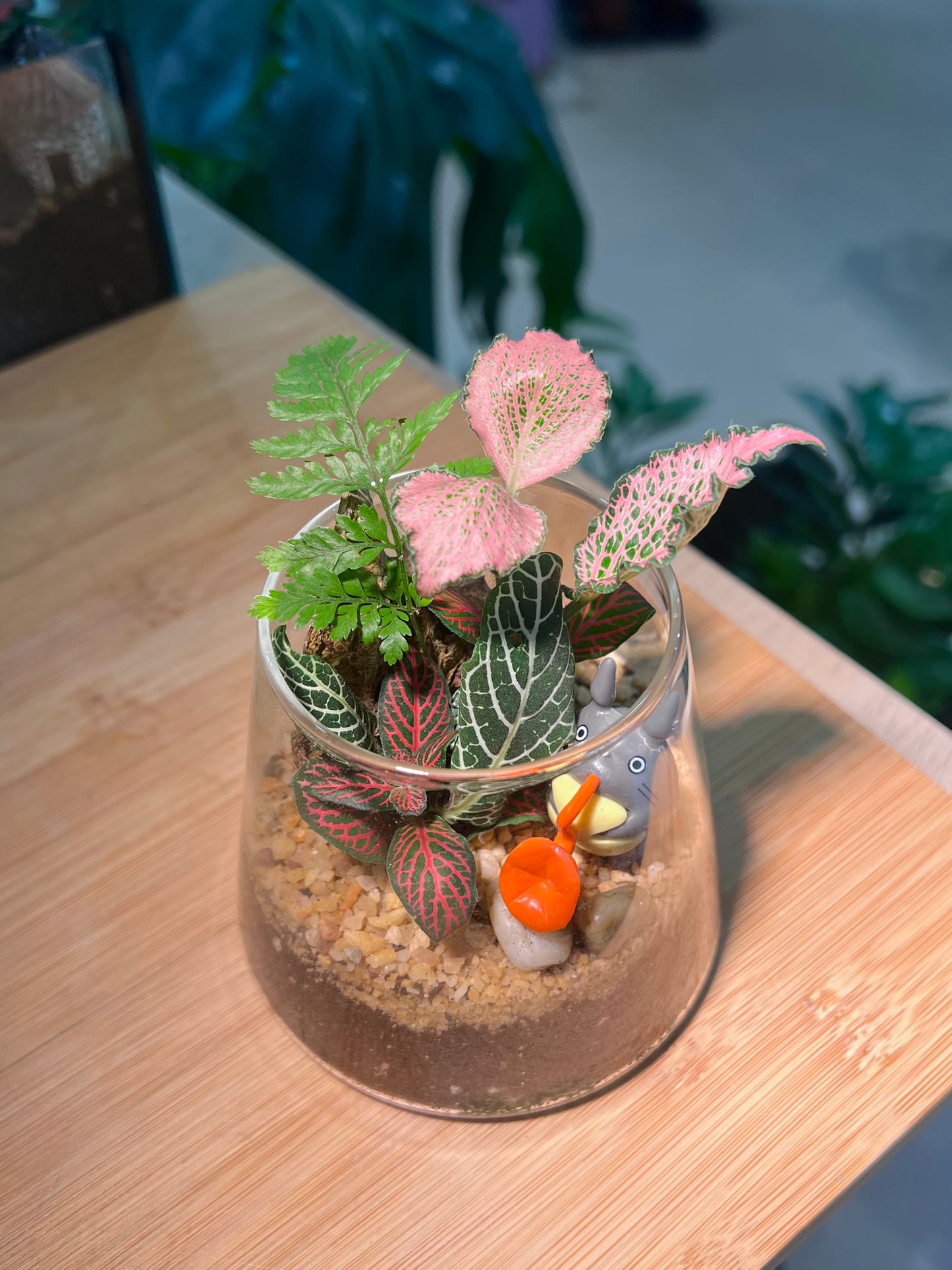 Fittonia and Fern Arrangement in Fuji Glass with Totoro Figurine