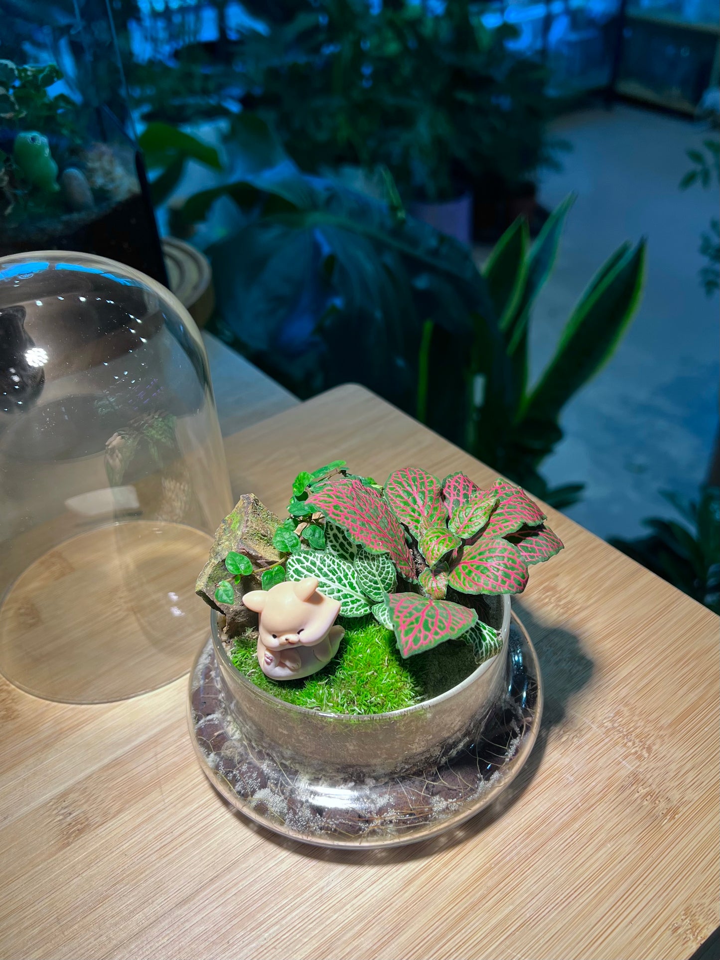 Fittonia and Ficus Pumila with Moss Arrangement in Bell Glass Terrarium (S)
