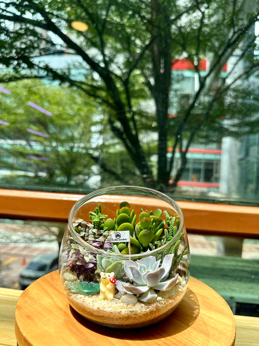 Succulent Arrangement in Slanted Glass (L)