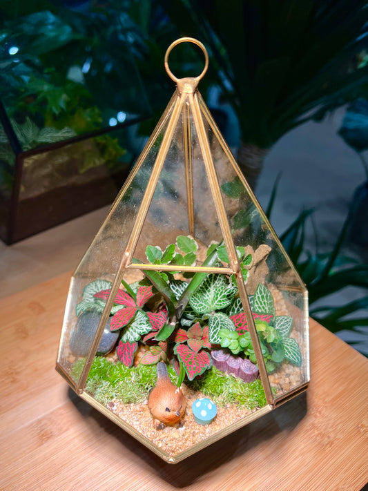 Fittonia and Ficus Pumila with Moss Arrangement in Diamond Glass without Lid (M)
