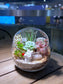 Succulent Arrangement in Slanted Glass Terrarium