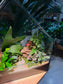 Fittonia, Ficus Pumila, Staghorn Fern, Bird Nest Fern and Moss Arrangement in House Shape Aqua Glass