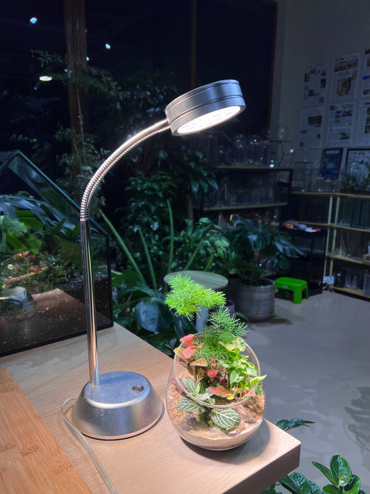 Growlight Desk Lamp (Full Spectrum)