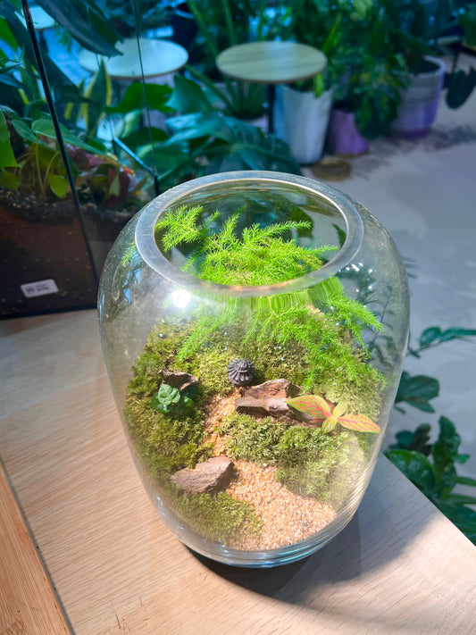 Asparagus Fern with Moss Arrangement in Tall Fishbowl Glass without Lid