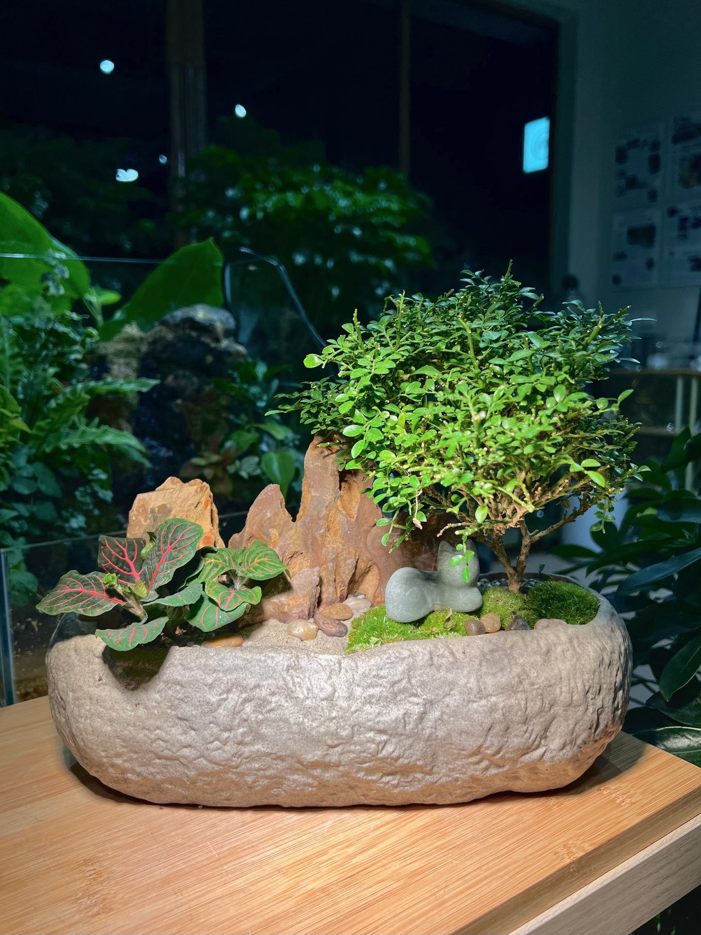 Fittonia and with Moss Arrangement in Faux Stone Concrete Pot