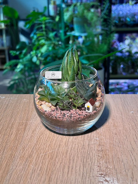 Succulent Arrangement Terrarium (εδΊε·ε±) Harworthia in Fishbowl Glass