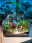 Fittonia, Fern with Moss (Indoor Plant) Arrangement in Black Grid House Terrarium