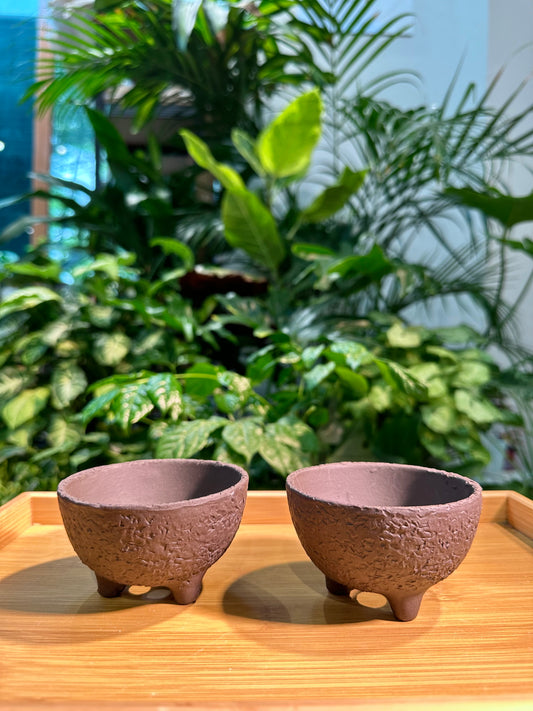 Zen Style Designer Pot