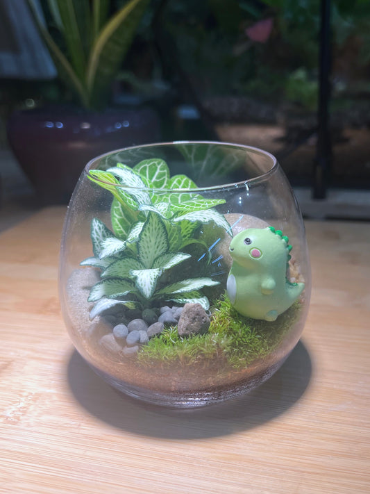 Fittonia with Moss Arrangement in Wine Glass