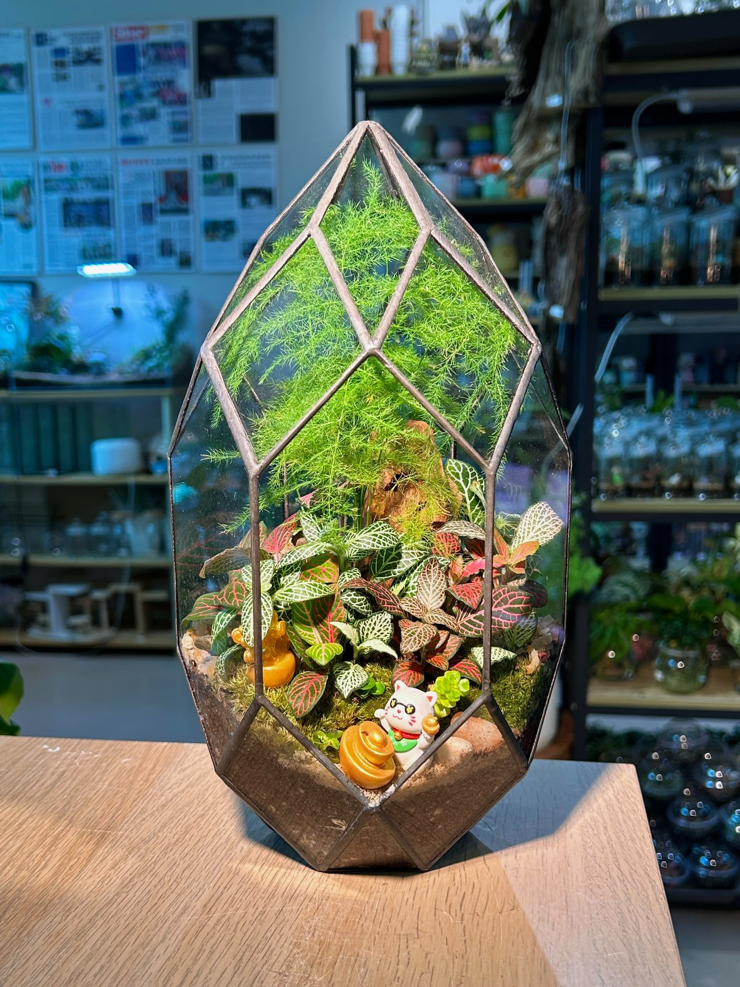 Indoor Plant Arrangement Fittonia & Moss & Asparagus Fern (网纹草 & 苔藓 & 文竹) in Polygonal Glass