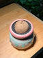 Stephania in Tricolor Ceramic Pot