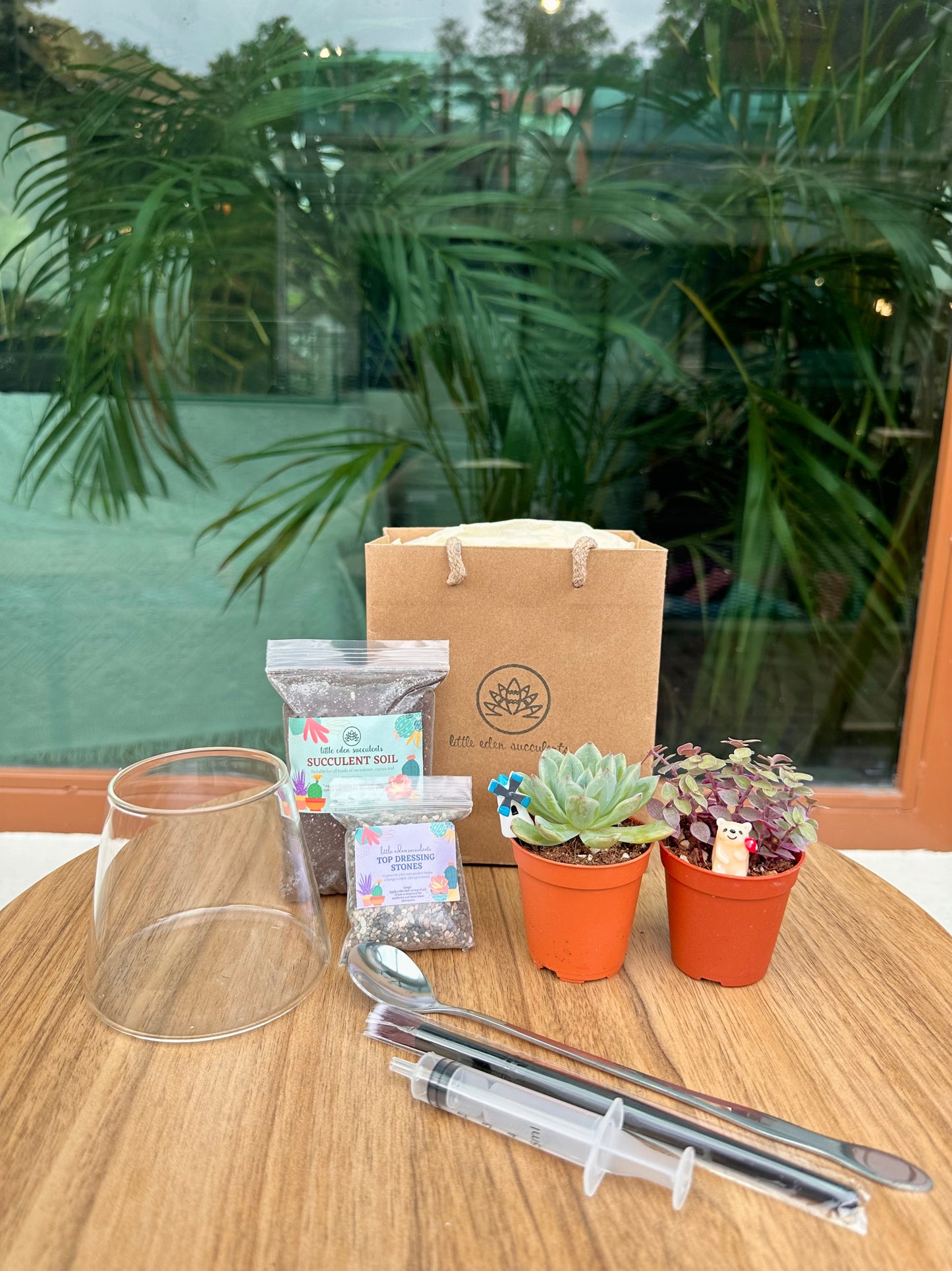 Fuji Glass Succulent Terrarium DIY Set