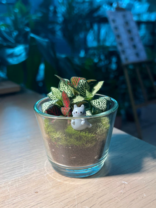 Indoor Plant Arrangement in Glass Pot