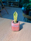 Snake Plant (虎尾兰) Sansevieria in Pink Glazed Ceramic Pot