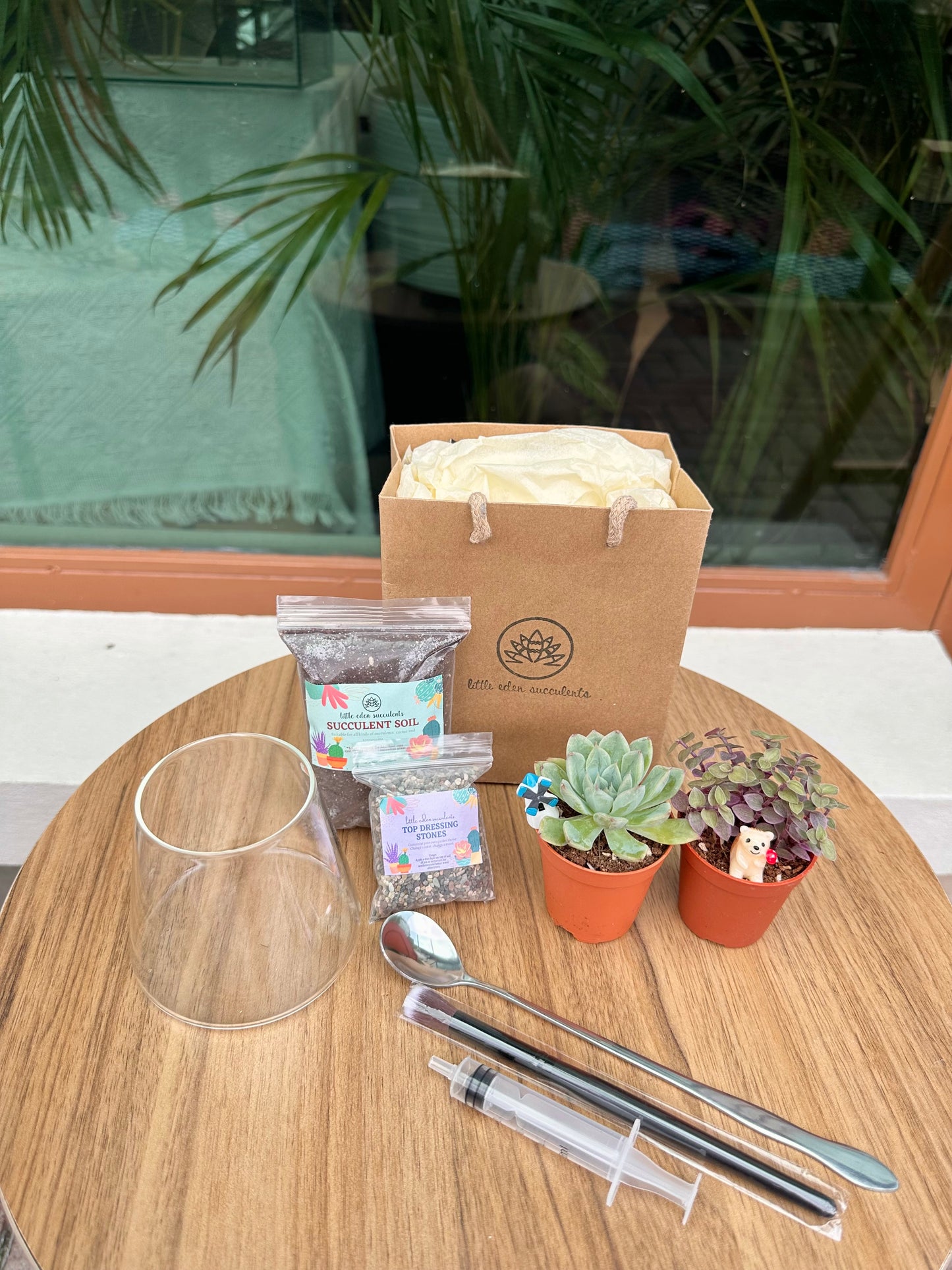 Fuji Glass Succulent Terrarium DIY Set