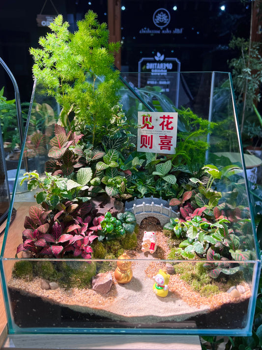Indoor Plant Arrangement in Serene Forestscape Terrarium with 见花则喜 ❤️