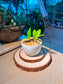 Baby Money Plant (金钱树) Zamioculcas Zamiifolia in White Glazed Ceramic Pot