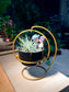 Valentine Gift - Airplant in Swinging Pot