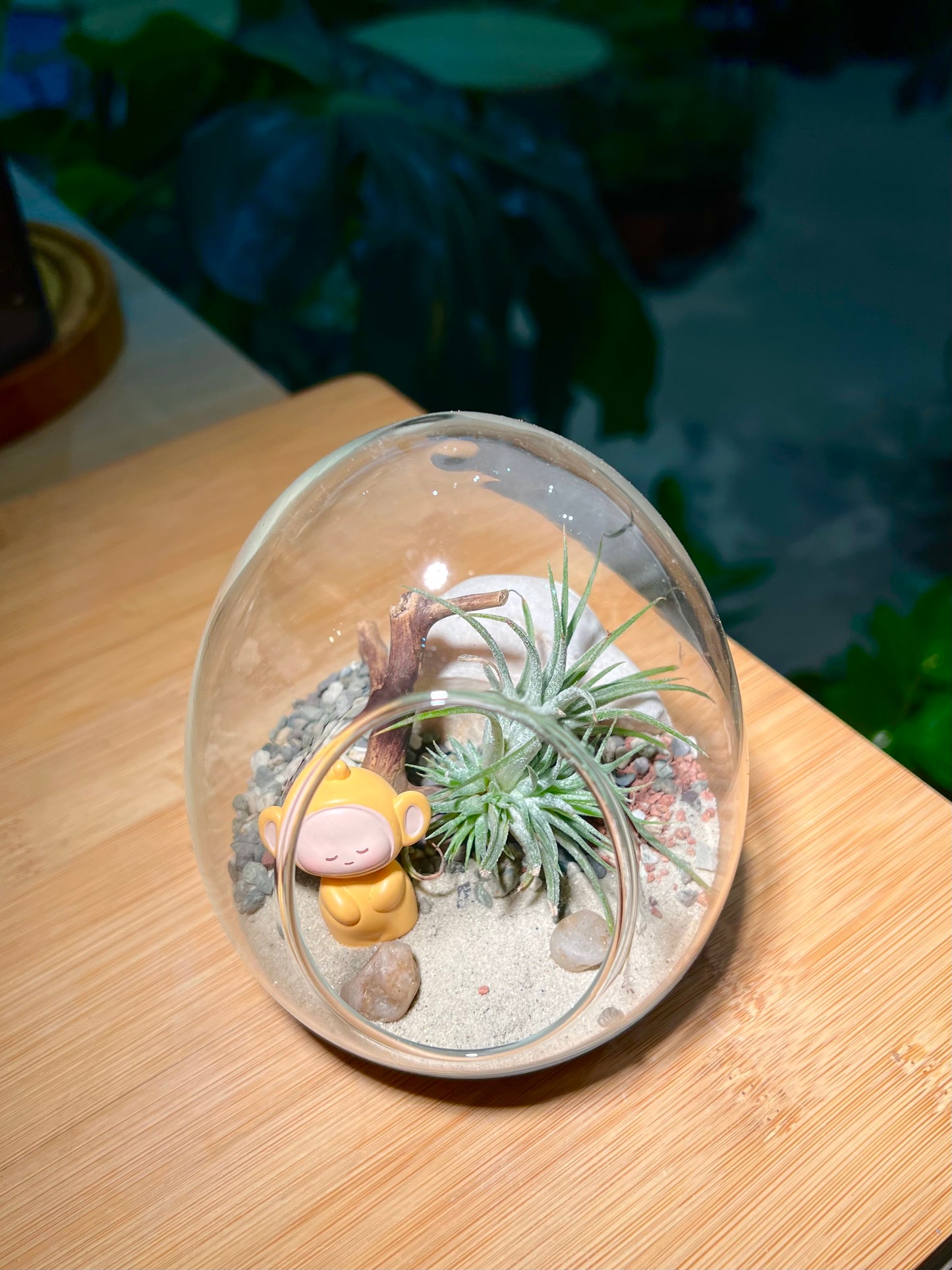 Airplant in Eggette Glass with Teletubbies Figurine (S)