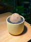 Stephania in Light Yellowish Matt Textured Designed Pot