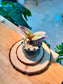 Tradescantia Spathacea Tricolor (Succulent) in Ceramic Pot