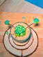 Echeveria Succulent in Glass Pot