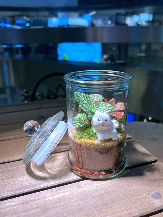 Fittonia with Moss Arrangement in Terrarium Jar (M)