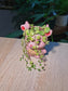 String of Turtles (纽扣玉藤) Peperomia Prostrata in Pink Cute Animal Ceramic Pot