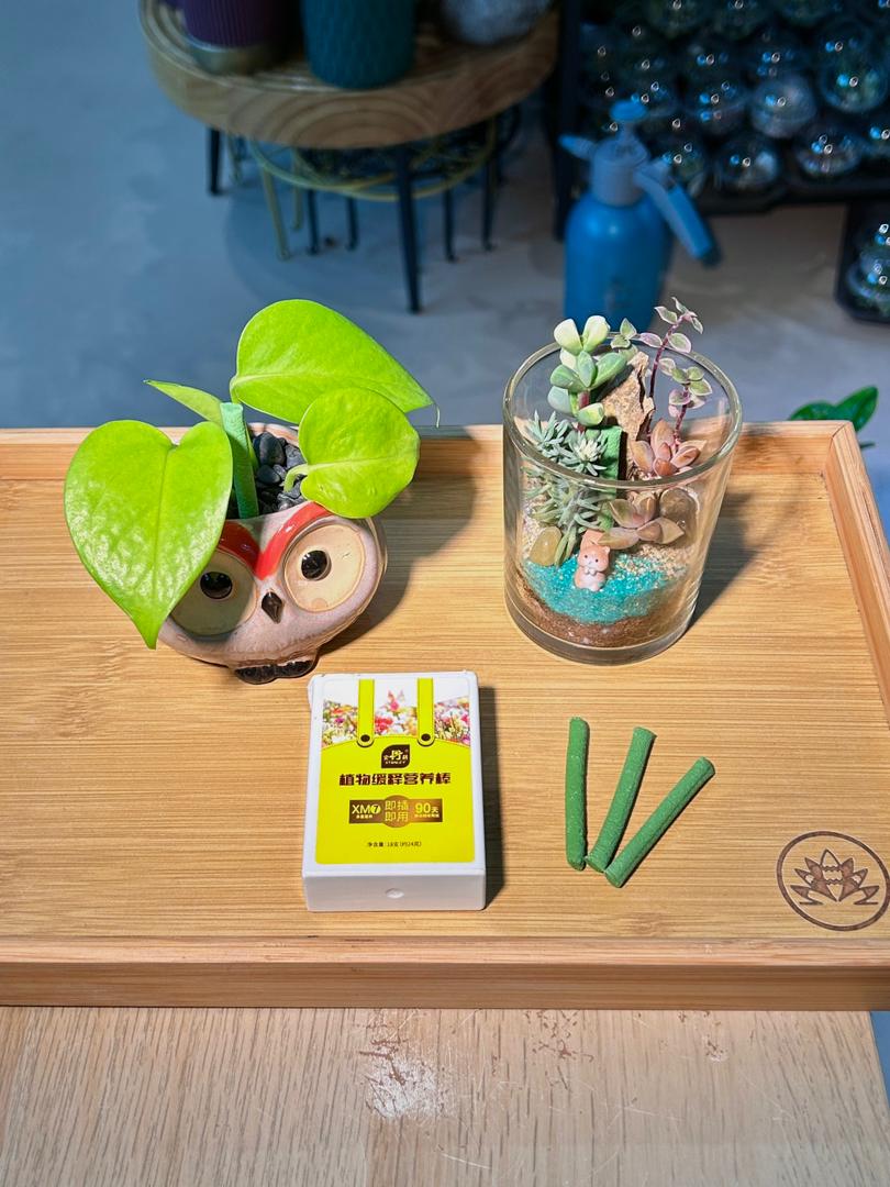 Slow Release Fertilizer Sticks (植物缓释营养棒)