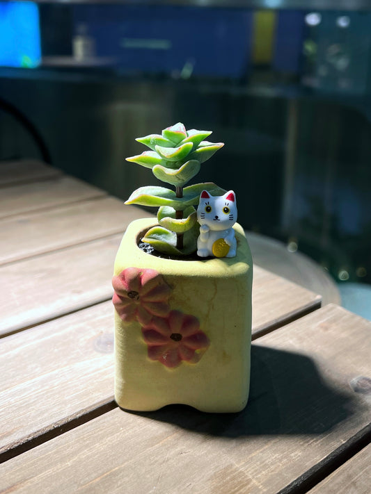 Crassula Perforata with Fortune Cute Cat in Matt Textured Claypot