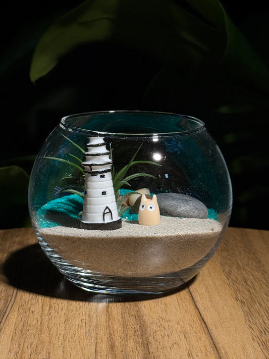 Airplant in Crystal Glass