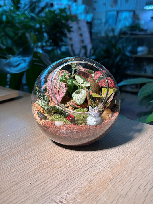 Indoor Plant Arrangement Fittonia & Moss (η½ηΊΉθ & θθ) in Round Glass (L)