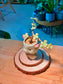 Variegated Elephant Bush (Succulent) in Cute Ceramic Deer Pot