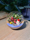 Indoor Plant Arrangement Fittonia & Pumila & Moss (网纹草 & 薜荔 & 苔藓) in Round Glass (L)