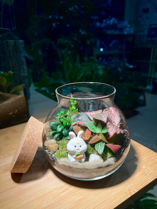 Fittonia and Bubble Plant with Moss Arrangement in Round Covered Glass Terrarium(M)
