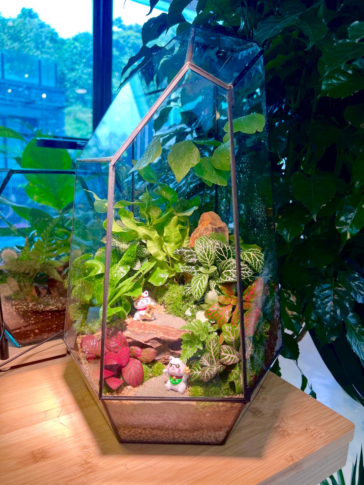 Fittonia & Fern with Moss Arrangement in Black Polygonal (L)