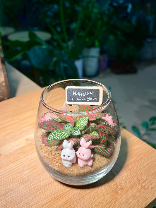 Valentine Gift - Fittonia in Crystal Glass Terrarium with Rabbit 🐇 Figurines and Blackboard