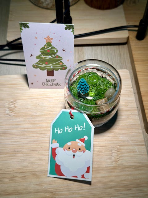 Christmas Moss Garden in Tea Glass with Holiday Card