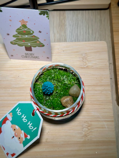 Christmas Moss Garden in Tea Glass with Holiday Card