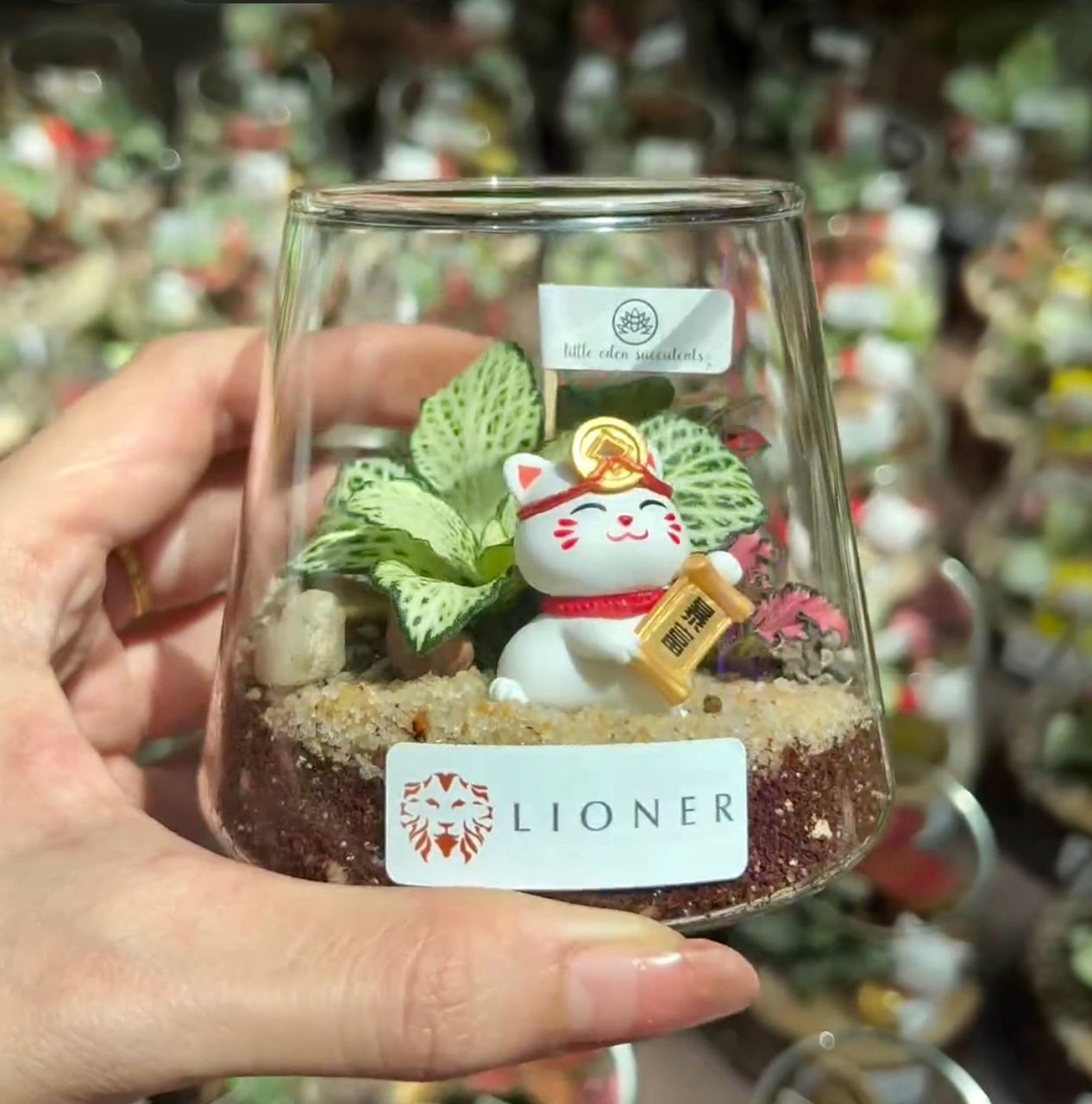 Load video: Corporate Terrarium Door Gift Customisation