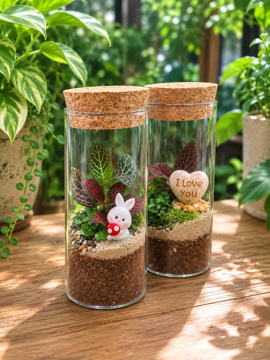Cylindrical Covered Glass Indoor Plant Terrarium (M) DIY Kit