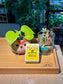 Slow Release Fertilizer Sticks (植物缓释营养棒)