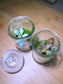 Fittonia with Moss Arrangement in Terrarium Jar (S)
