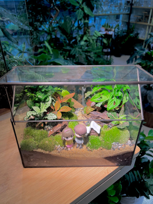 Valentine Gift - Fittonia and Fern with Moss Arrangement in Black Frame Glasshouse